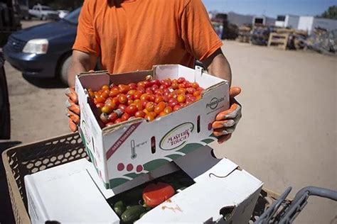 produce box distribution in phoenix|borderlands produce nogales az.